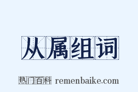 从属组词是什么意思的图片